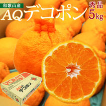 DN6012n_【2026年先行予約】和歌山県産 AQ デコポン 5kg 秀品 (12～24玉)