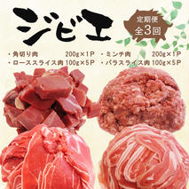 【定期便3回】脊振ジビエ イノシシ肉(ロース バラ 角切り ミンチ)4品詰合せ(大) 【佐賀 佐賀県産 猪 ロース バラ スライス 焼肉 しゃぶしゃぶ 鍋物】(H072131)