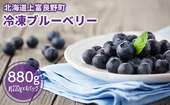 冷凍 大粒 ブルーベリー 880g（220g×4p）北海道 上富良野産 小分け 果物 フルーツ 果実 そのまま ヨーグルト アイス トッピング スムージー 冷凍フルーツ 国産 日本産 冷凍果物 