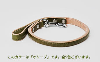 [No.5258-7061]0101good lead 大型犬用短引き［犬 猫 リード］アカネ