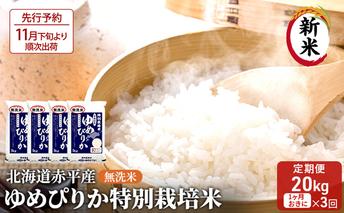 【先行予約2025年産米・11月下旬より順次出荷】無洗米 北海道赤平産 ゆめぴりか 20kg (5kg×4袋) 特別栽培米 【1ヵ月おきに3回お届け】 米 北海道 定期便 お米 ふるさと納税 