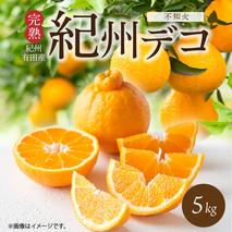 G7361_【2026年先行予約】期間限定 紀州デコ 約 5kg 完熟 紀州 有田産 色 形 味 香り 一級品 プリプリ 果肉 まろやか 甘さ ほどよい 酸味 ジューシー 旨味 不知火 人気品種 柑橘の王様 柑橘 果実 国産 食品 産地直送 お取り寄せ 和歌山県 湯浅町 送料無料