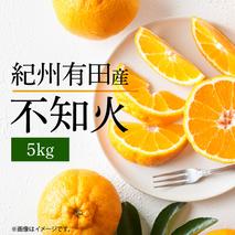 G7356_【2026年先行予約】不知火 5kg デコポン 柑橘の王様 甘い プリプリ ジューシー 濃厚 フルーツ 果実 果物 柑橘 紀州有田産 国産 食品 食べ物 お取り寄せ 魚鶴商店 和歌山県 湯浅町 送料無料
