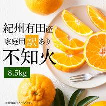 G7359_【2026年先行予約】紀州有田産 不知火 (しらぬい)【家庭用 訳あり】8.5kg