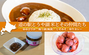 道の駅とうや湖 米とその仲間たち(ゆめぴりか・梅っ湖(梅漬)・しそみそ・和牛カレー) 食品セット お米 レトルトカレー 