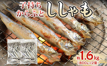 子持ちからふとししゃも 約1.6kg(800g×2) 樺太 魚シシャモ メス おつまみ 魚貝類 干物 量販店 居酒屋 馴染み 人気 卵 詰まった 塩 味付け 