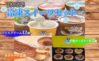 愛知牧場 冷凍スイーツセット（アイスクリーム12個・カタラーナ2箱・半熟チーズケーキ2箱） お菓子 焼菓子 フルーツ 新鮮 ミルク バニラ チョコ いちご 抹茶 こだわり 贅沢 濃厚 