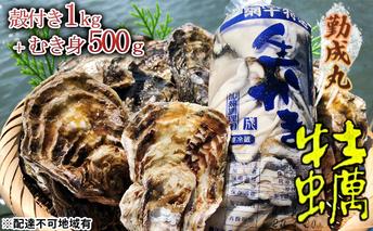【2026年1月より順次出荷予定勤成丸の牡蠣 殻付き牡蠣1.0kgとむき身500gのセット 魚介類 魚貝類 生牡蠣 海の幸 海鮮 1年牡蠣 つまみ お酒のあて 一品料理 オイスター 