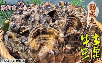 【2026年1月より順次出荷予定勤成丸の牡蠣 殻付き牡蠣 2.0kg 魚介類 魚貝類 生牡蠣 海の幸 海鮮 1年牡蠣 つまみ お酒のあて 一品料理 オイスター 