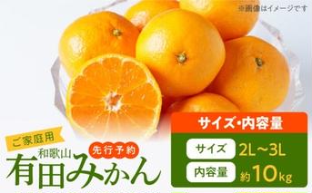 AT6314_【2025年先行予約】ご家庭用　和歌山有田みかん 約10kg (2L、3Lサイズ)【湯浅町】