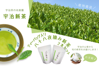 ティーバッグ入り八十八夜摘み新茶(4g×20袋)２本セット〈新茶 お茶 茶 緑茶 煎茶 八十八夜 ティーバッグ ティーパック 宇治茶 飲み比べ 飲料 日本茶 縁起物 加工食品〉