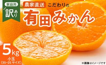 ZT6232n_こだわりの 有田みかん 小玉 5kg (2S～3Sサイズ)【訳あり 家庭用】