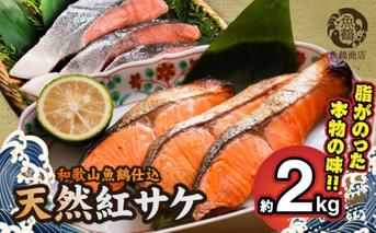 G7318_リピーター続出！ 高評価 魚鶴 仕込 天然紅 鮭 サケ 切身 約2kg サケ切身 紅鮭 和歌山 湯浅町 小分け 真空パック 梅酒 真昆布 使用 だし まろやか 天然 鮭 魚 海の幸 海鮮 魚介 食品 食べ物 おかず お弁当 水産加工品 冷凍 グルメ お取り寄せ 和歌山県 湯浅町 送料無料