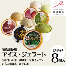 猿島茶使用  アイス ジェラート 8個入 詰め合わせ  ( 濃いお茶 2個 / 和紅茶 2個 / タカミメロン 1個 / いちご和紅茶 1個 / ほうじ茶 2個 )  ふるさと納税 ギフト お菓子 お祝い [AF104ya]