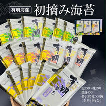 初摘み海苔 F-SAY48【のり パリッと 有明海産 旨味 塩味 味付 焼き 極上 絶品 ミネラル 天然塩】(H029109)
