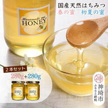 【春の蜜 & 初夏の蜜セット】2025年産 国産天然蜂蜜 春の蜜280g & 初夏の蜜280g【合計560g】(H049129)