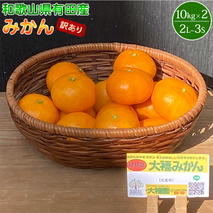 BT6009_【2025年先行予約】和歌山県有田産 みかん 10kg×2箱 2L～3Sサイズ（おまかせ）【訳あり・家庭用】