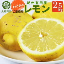 G7069_【2026年先行予約】【ご家庭用 訳あり】紀州有田産レモン 2.5kg