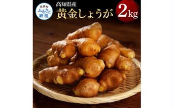 SNS001　高知県産黄金しょうが2kg -  しょうが ショウガ 生姜 坂田信夫商店 黄金しょうが 高知 国産 生姜焼き しょうが湯 ふるさとのうぜい 故郷納税 8000円 返礼品 高知県産