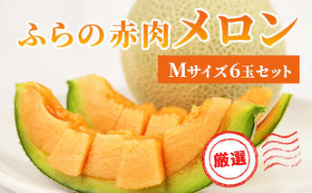 【2025年発送】ふらの 赤肉メロン 厳選 甘味 Mサイズ 1.35kg～1.6kg 6玉 セット ファーム富良野 メロン めろん 富良野メロン 果物 くだもの フルーツ 富良野 デザート 北海道 先行受付 北海道上富良野町 