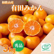 ZE6413n_12_【2025年12月発送】和歌山県産 有田みかん 3kg (2S～Lサイズ混合)【まごころ手選別】