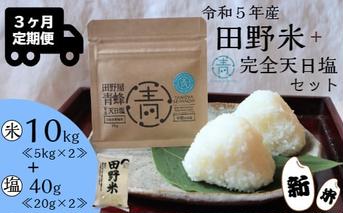 ≪先行受付中：定期便3ヵ月（11月～1月）≫  ★ 令和5年産 新米 ★【四国一小さなまち】 田野米 10kg ＋ 田野屋青蜂 完全天日塩 40g ～ 精米 ・ 白米 ～ 