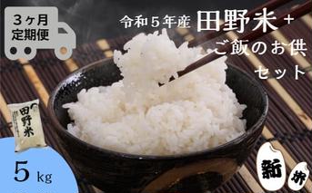 ≪先行受付中：定期便3ヵ月（11月～1月）≫  ★ 令和5年産 新米 ★【四国一小さなまち】 田野米 5kg ＋ ご飯のお供 ～ 精米 ・ 白米 ～ 