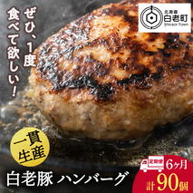 【定期便 6カ月】 北海道産 白老豚 ハンバーグ 120ｇ×15個 セット 冷凍 洋食 おかず