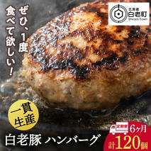 【定期便 6カ月】 北海道産 白老豚 ハンバーグ 120ｇ×20個 セット 冷凍 洋食 おかず