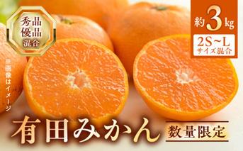 BF6031n_【2025年先行予約】 数量限定 期間限定 有田みかん 約 3kg 2S～Lサイズ サイズ混合 30個 前後 秀品 優品 紀州 有田 みかん 温州みかん フルーツ 果実 甘み 酸味 絶妙 バランス 果物 柑橘 国産 食品 食べ物 マルシ農園 お取り寄せ 和歌山県 湯浅町 送料無料