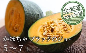採れたて完熟栗かぼちゃ【ブラックのジョー】5～7玉≪北海道上富良野町産≫ 野菜 秋の味覚 北海道野菜 パンプキン 北海道産かぼちゃ 料理 調理 食材 旬の野菜 