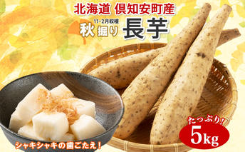北海道 倶知安町産 長芋 2L×約6本 計5kg 秋堀り 芋 ながいも とろろ 新鮮 フレッシュ 野菜 農作物 産直 山芋 麦とろ 山かけ おつまみ グリーンアースファーム 送料無料 北海道 倶知安町 新鮮野菜 