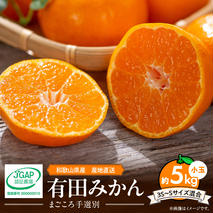 ZE6044n_【2025年先行予約】和歌山県産 有田みかん 5kg 小玉(3S～Sサイズ混合)【まごころ手選別】