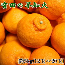 ZD6117n_【2026年先行予約】【濃厚】有田の 不知火 約5kg（12玉～20玉おまかせ）【でこぽん デコポン しらぬい 不知火 柑橘】