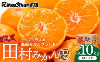 V7443_田村みかん／特選ギフト品10kg【Mサイズ】赤秀