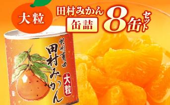 AY6004n_田村みかん 缶詰 8缶セット【フルーツ缶 フルーツ缶詰 みかん 有田みかん 和歌山産】