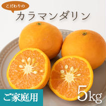 ZT6211n_【2026年先行予約】こだわりの カラマンダリン 【訳あり 家庭用】 5kg 藤秀園