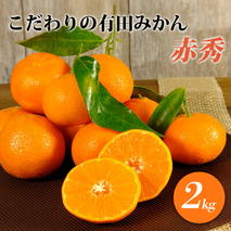 ZT6201n_【2025年先行予約】赤秀 有田みかん 2kg 2S～Mサイズ おまかせ 手作業 新鮮 濃厚 甘み ほどよい 酸味 バランス 有田 みかん 温州みかん フルーツ 果物 柑橘 国産 食品 食べ物 おやつ デザート フレッシュ 産地直送 お取り寄せ 和歌山県 湯浅町 送料無料