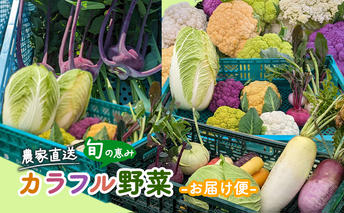 農家直送 旬の恵み カラフル野菜 お届け便 野菜 詰め合わせ 野菜セット カリフラワー コールラビ かぶ ブロッコリー 旬 セット おまかせ 