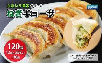 九条ねぎ農家が作ったねぎギョウザ（12個入×10袋） 〈 ぎょうざ 餃子 ギョーザ 九条ねぎ 京野菜 冷凍 冷凍餃子 惣菜 国産豚肉  おかず つまみ 夕飯 晩御飯 手軽 便利 〉 