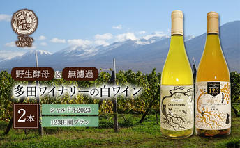 【 野生酵母 ＆ 無濾過 】 混醸ワイン ＆ シャルドネ 100%の ワイン 白2本 セット 多田ワイナリー 白ワイン お酒 ミネラル感 ミディアムボディ 白ワインセット 