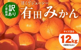 EH6100_【2025年先行予約】【訳あり ご家庭用】和歌山県産 有田みかん 10kg＋2kg保証分 サイズ混合