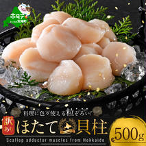 【10/1～寄付額改定】大人気 訳あり 北海道産 冷凍 ホタテ 500g ほたて ホタテ 帆立 貝柱  海鮮 魚介類 刺身 大粒 天然 海鮮  ランキング 大人気 人気 おすすめ 訳あり ）