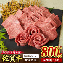 佐賀牛 希少部位 焼肉4点盛り合わせ【脂身系ジューシー】 800g （200gx4種） A5 A4【希少 国産和牛 牛肉 肉 牛 焼肉】(H085144)