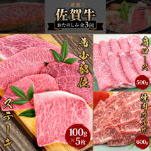 【3カ月連続定期便】ビールに最高!!人気のヒレステーキを含む佐賀牛「ステーキ 5種 食べ比べセット 500g」「焼肉カルビ 600g」「肩ロース 500g」 合計1.6kg【希少 国産和牛 牛肉 肉 牛 ステーキ すき焼き しゃぶしゃぶ 焼肉】 (H085145)
