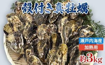 【2026年1月中旬以降順次発送予定】旬にお届け！姫路産　殻付き真牡蠣（加熱用）約３kg ／ カキ かき 貝類 兵庫県 特産品 海鮮 海の幸 加熱用牡蠣 焼き牡蠣 酒蒸し バーベキュー BBQ 
