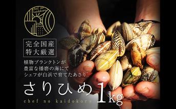 【2026年２月上旬出荷予定】さりひめ】姫路産養殖活あさり 特大1kg 貝類 贈答品 ギフト シェフ 身入り 甘い 加熱 白浜 