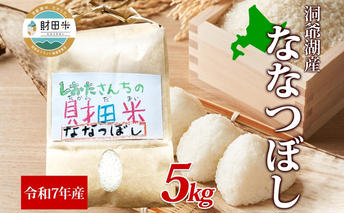 北海道産 財田米 ななつぼし 5kg 令和7年産 数量限定 たからだ米 お米 米 コメ 精米 北海道米 ご飯 ごはん 甘み 粘り ライス ブランド米 国産 お取り寄せ 洞爺湖町 最高峰 美味しい