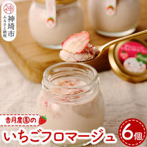 いちごフロマージュ6個セット 【佐賀県産 クリームチーズ 生クリーム ドライいちご 贅沢】(H017105)