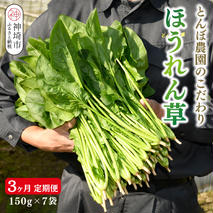 【定期便3回】ほうれん草 約1kg（150g x 7袋）【合計 約3kg】(H091119)